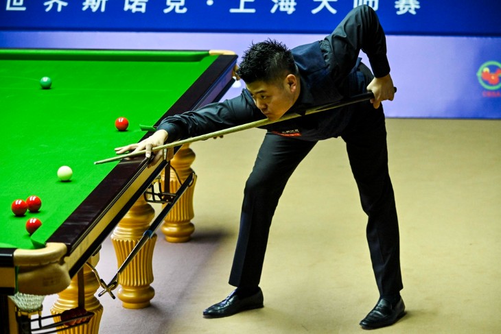 Biomechanics in Snooker